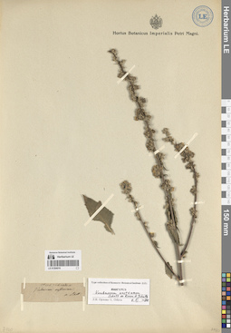 LE 01284016