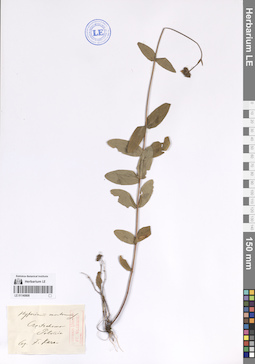 LE 01140808