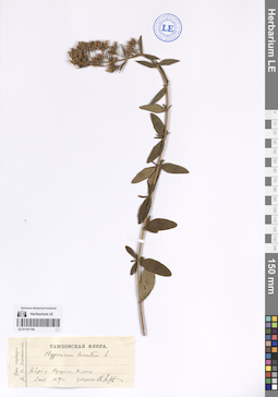 LE 01141154