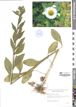 LE 01050985
