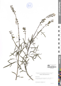 LE 01051098