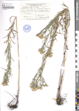 LE 01106224