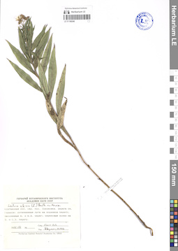 LE 01106248