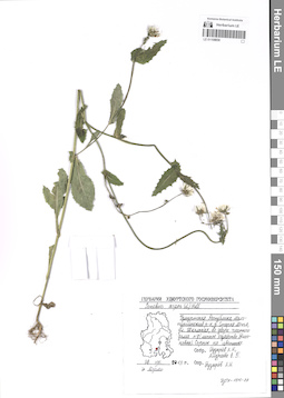 LE 01108858