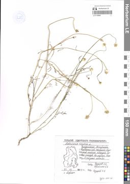 LE 01108865