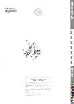 LE 01118911