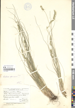 LE 01118976