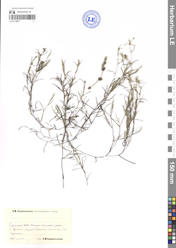 LE 01118977