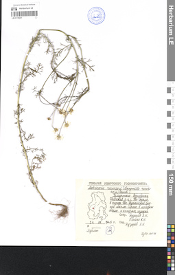 LE 01119231