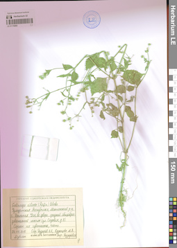 LE 01119292