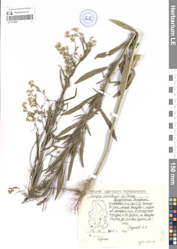 LE 01119297
