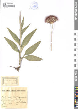 LE 01119389