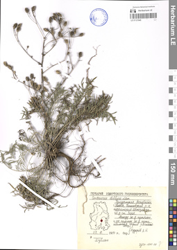 LE 01121945