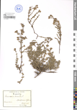 LE 01140789