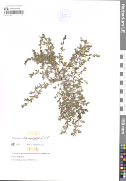 LE 01171291