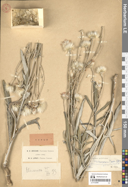 LE 01322980