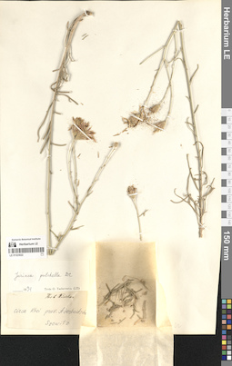 LE 01323022