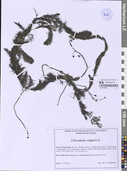 LE 01335502