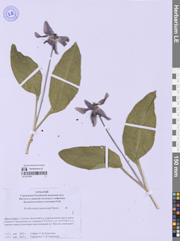 LE 01317831