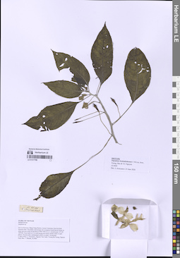 LE 01317788
