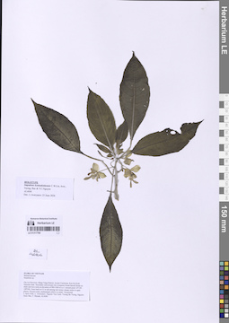 LE 01317790