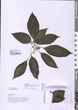 LE 01317791