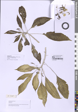 LE 01317841