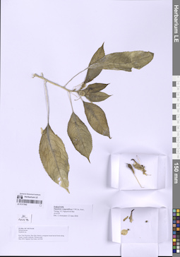 LE 01317842