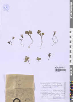LE 01150420