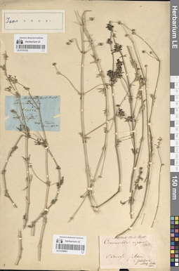 LE 01205061