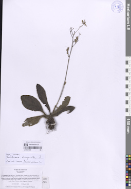 LE 01317025