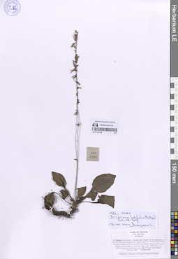LE 01317026