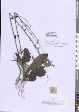 LE 01317402