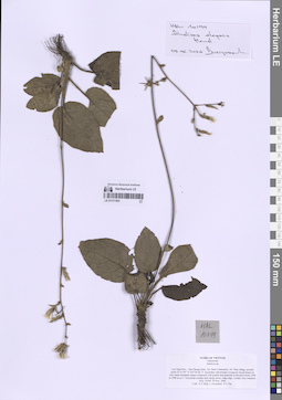 LE 01317403