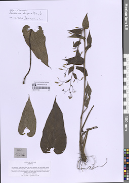 LE 01317405