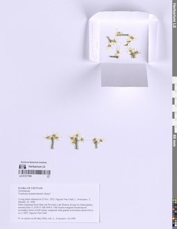 LE 01317780