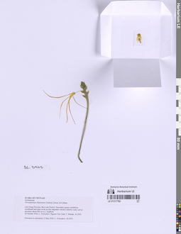 LE 01317782