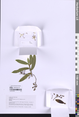 LE 01317783