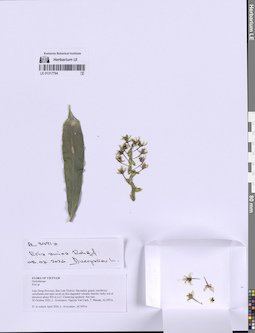 LE 01317794