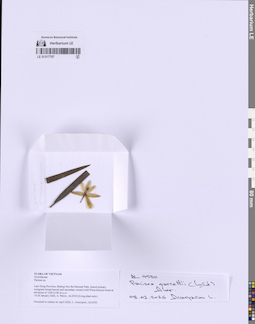 LE 01317797