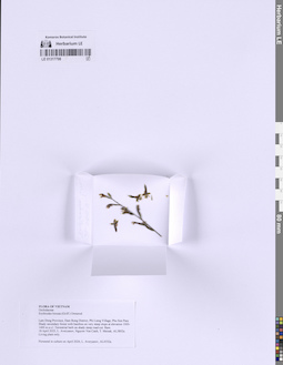 LE 01317798