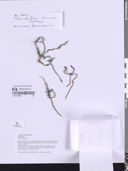 LE 01317800