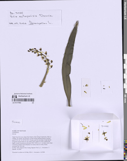 LE 01317802