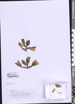 LE 01317803