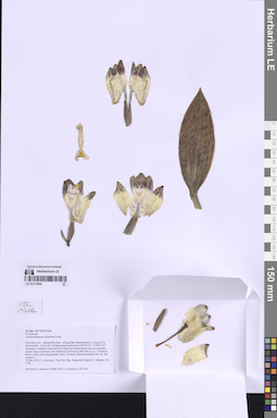 LE 01317804