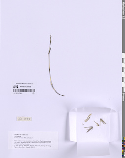 LE 01317825