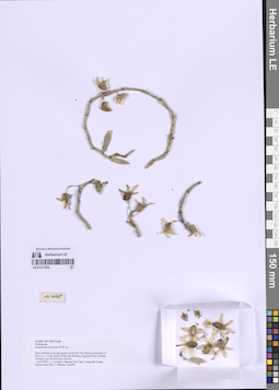 LE 01317826