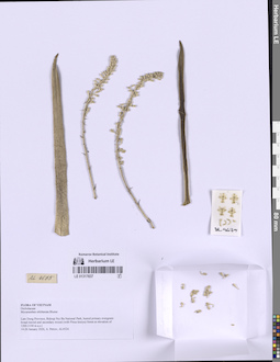 LE 01317837