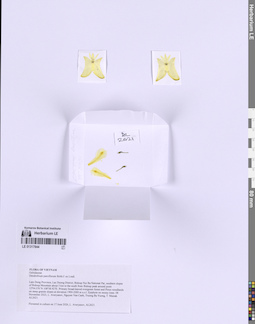 LE 01317844