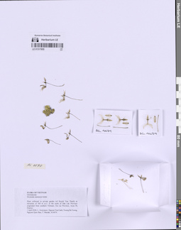 LE 01317855